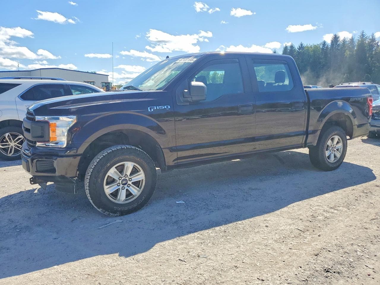 Ford F-150 2020 z USA
