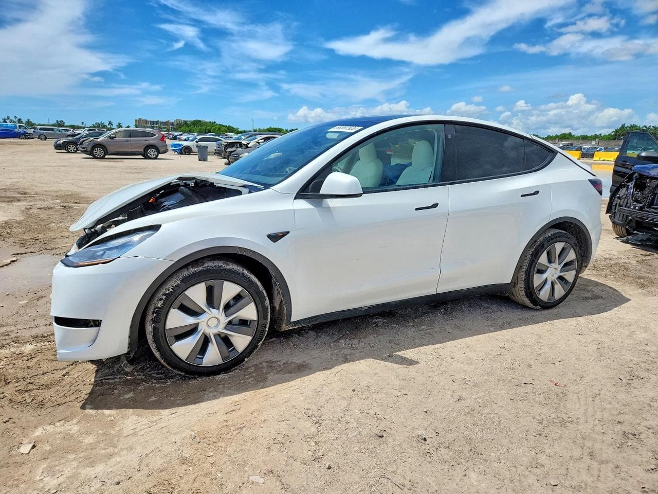Tesla Model Y 2023 z USA