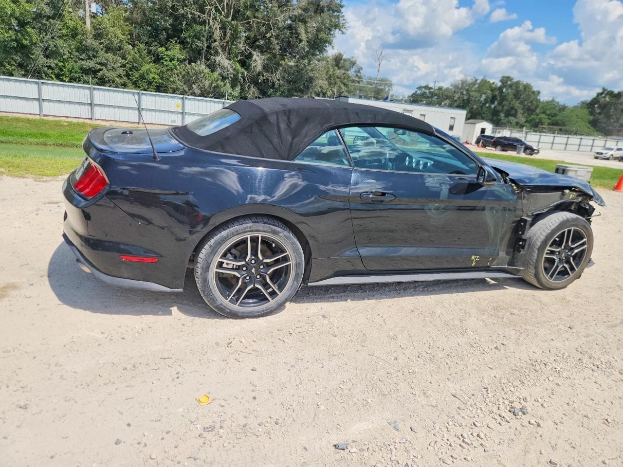 2019 Ford Mustang Cobra - foto 3