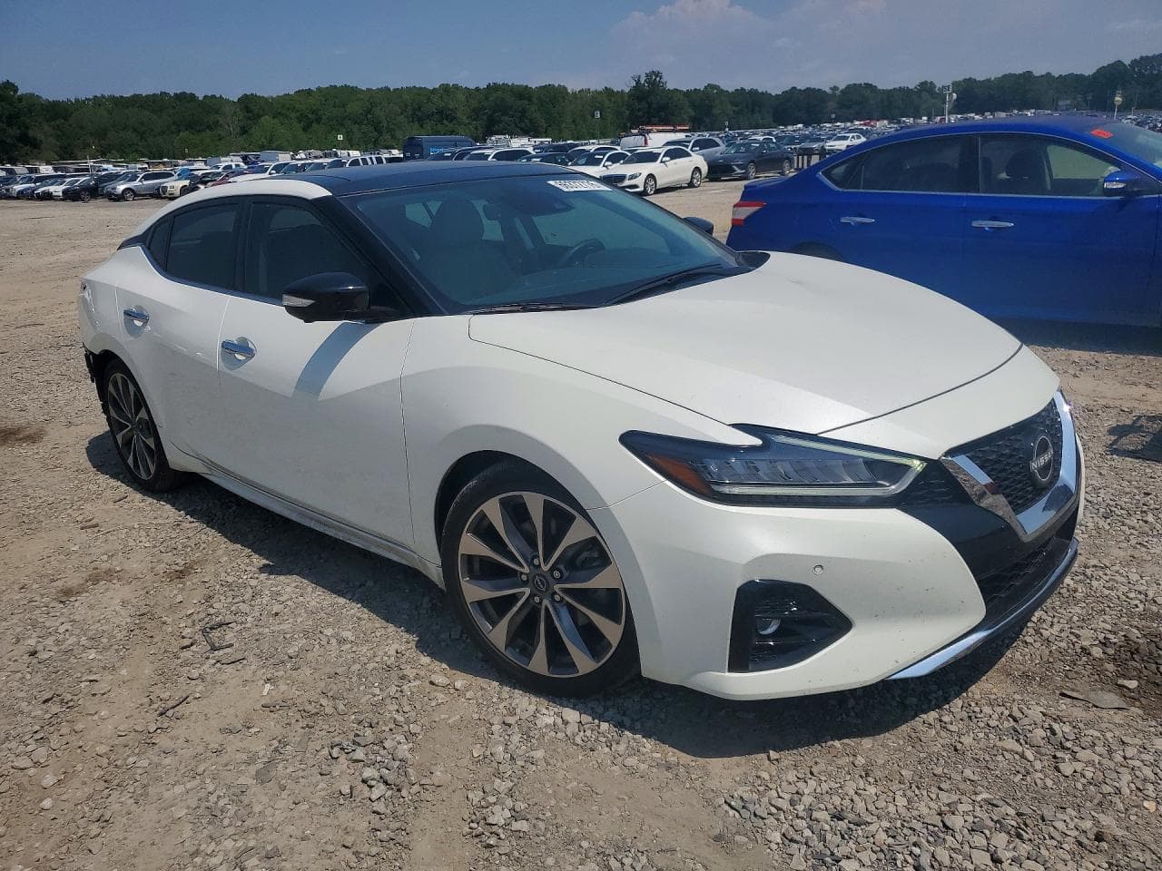 2023 Nissan Maxima Platinum - foto 4