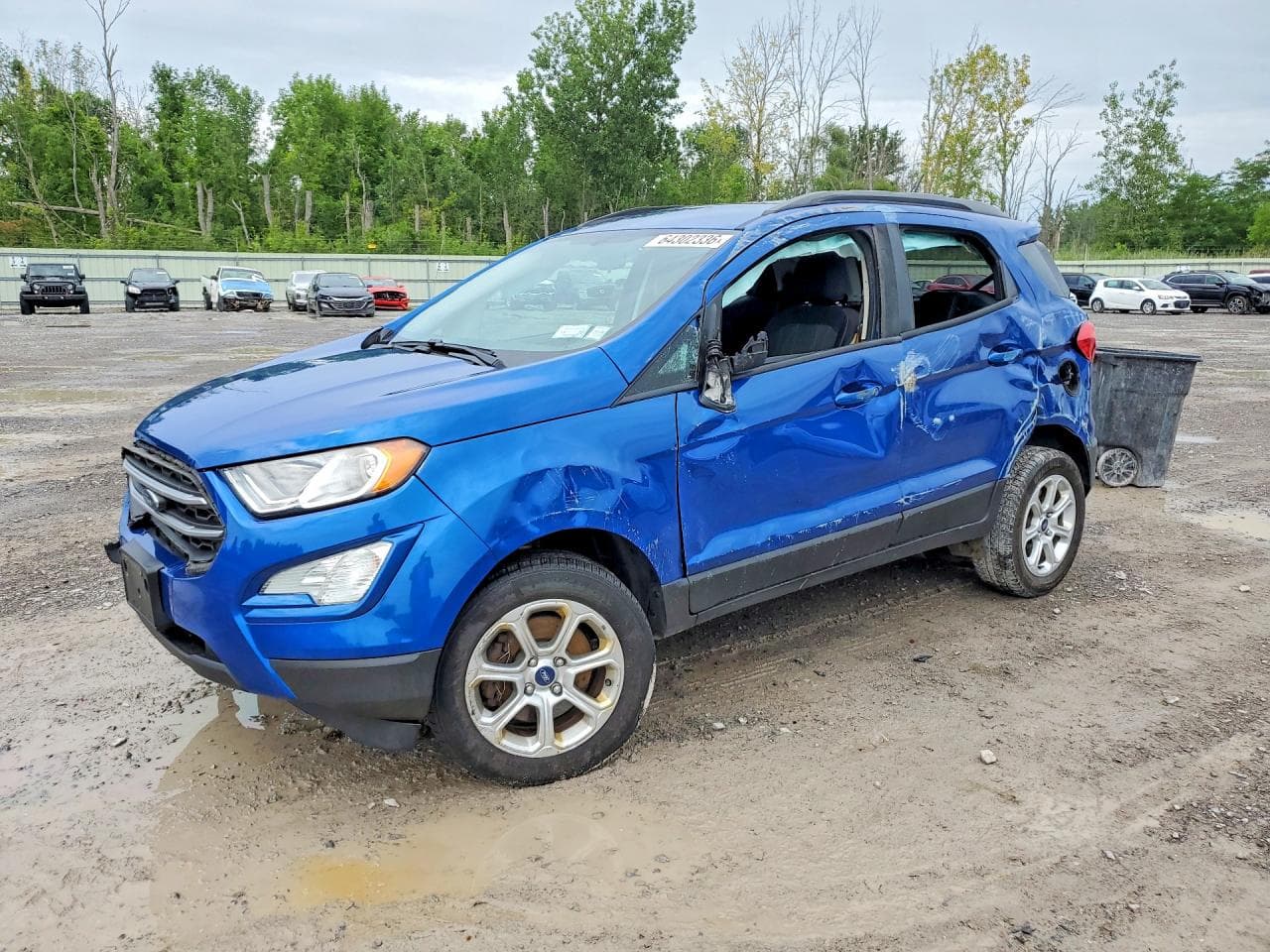 Ford EcoSport 2018 z USA