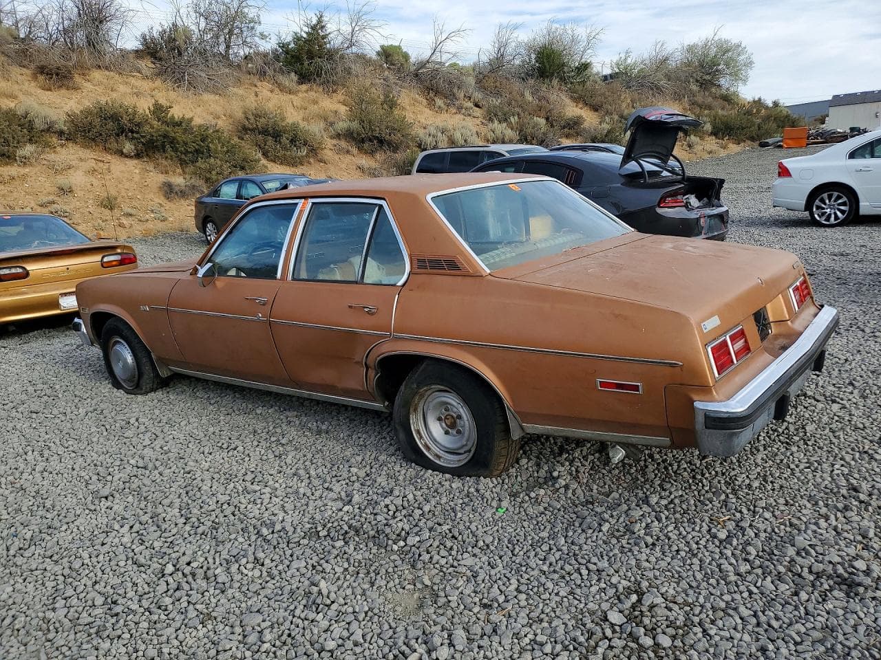 1977 Chevrolet Nova - foto 2