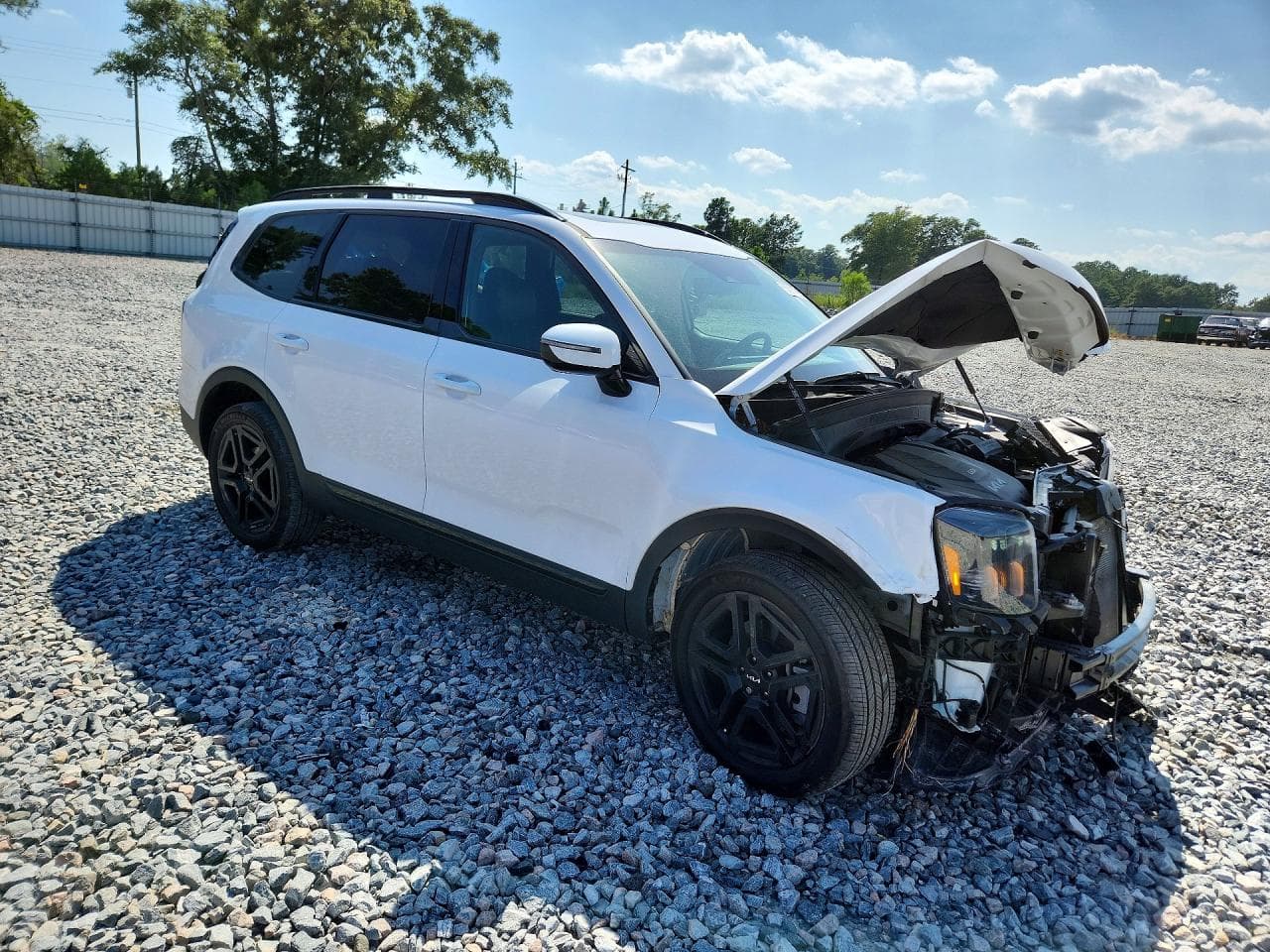 2024 Kia Telluride Sx-Prestige X-Line - foto 4