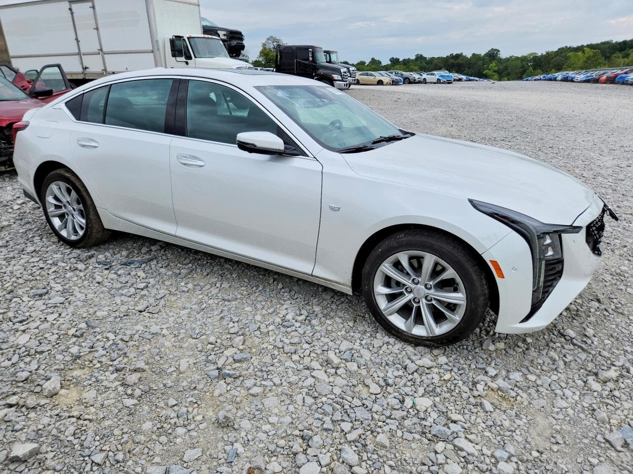 2025 Cadillac Ct5 Premium Luxury - foto 4