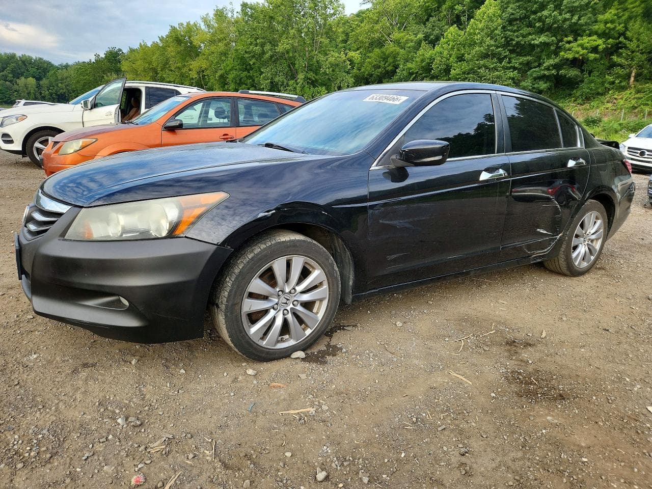 Honda Accord 2012 z USA