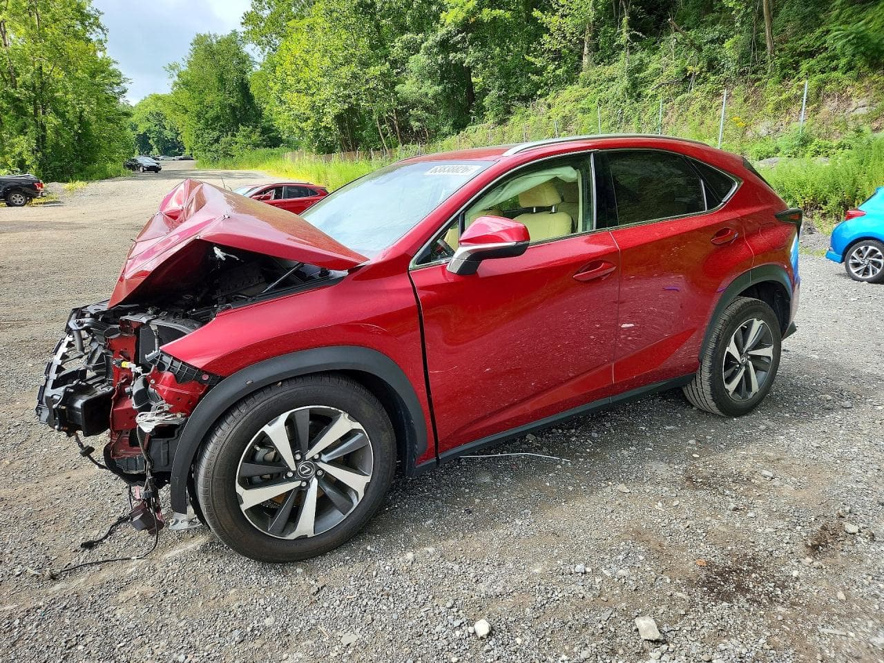 Lexus NX 2018 z USA