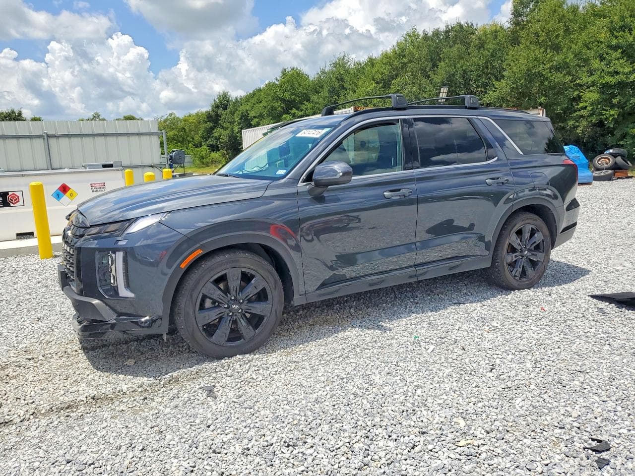 Hyundai Palisade 2024 z USA