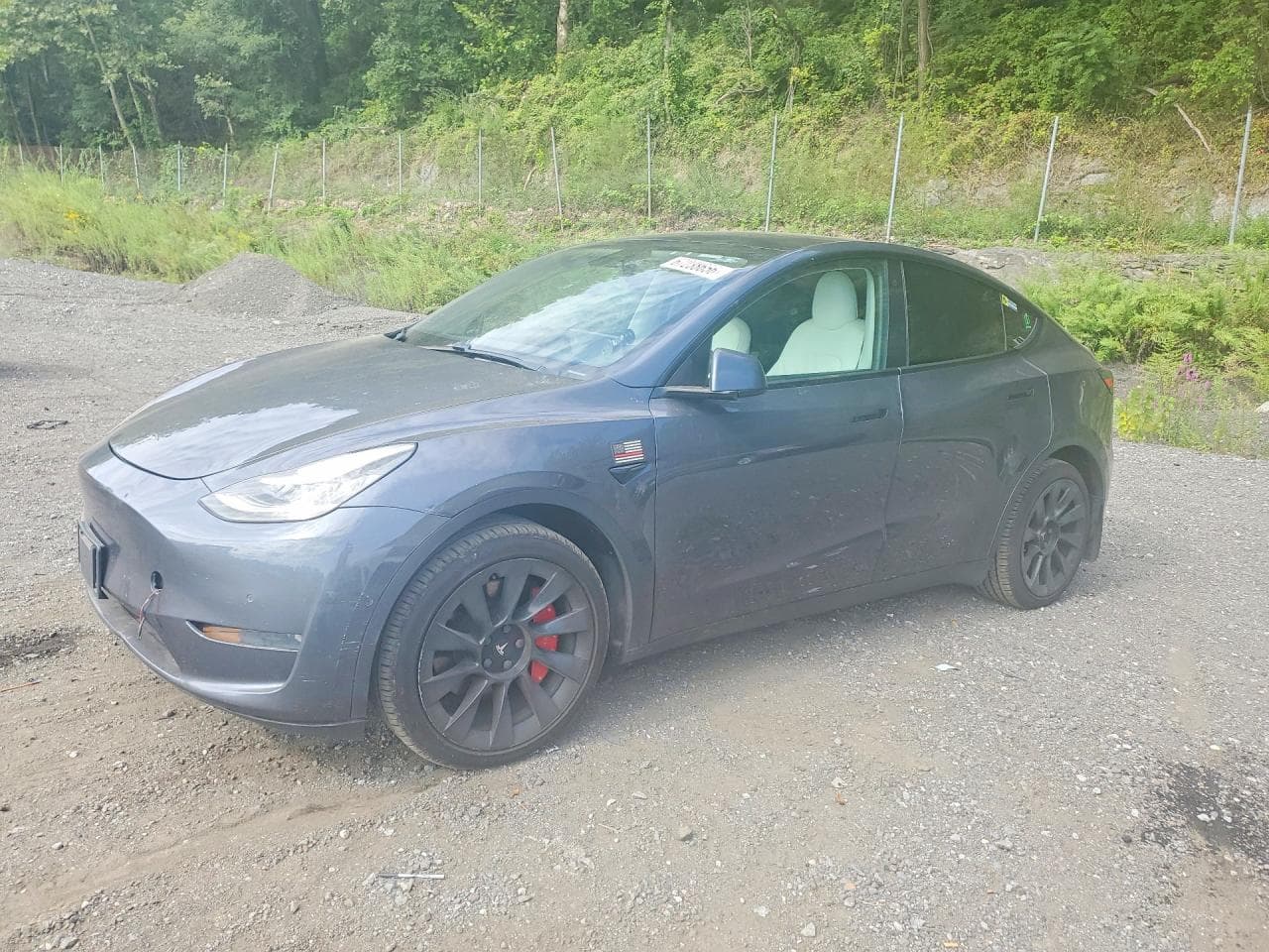 Tesla Model Y 2020 z USA