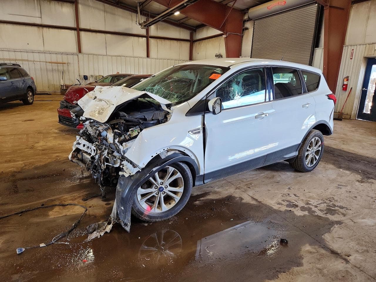 2019 Ford Escape Se