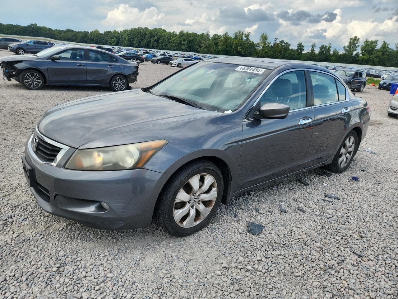 2010 Honda Accord Exl