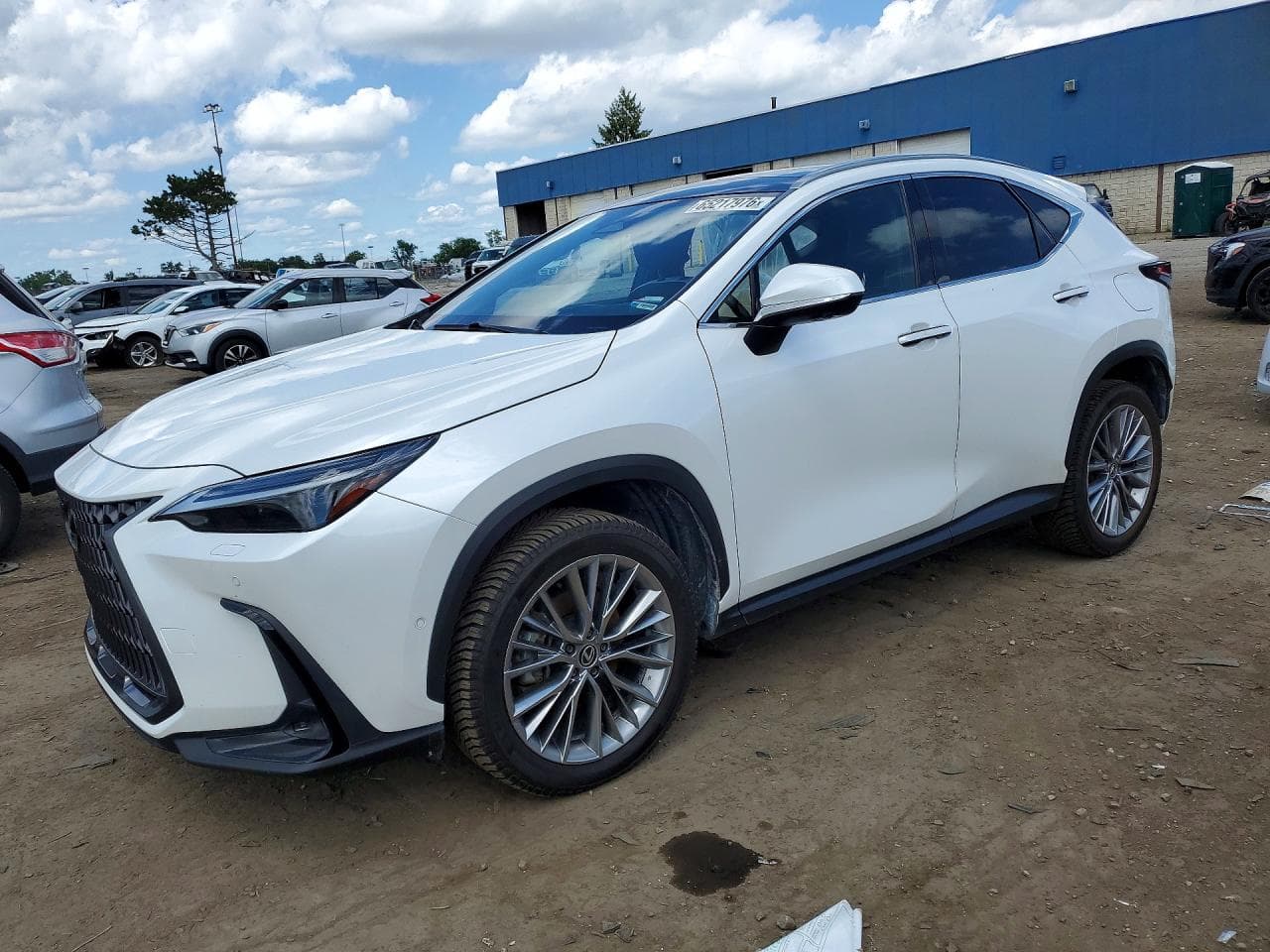 Lexus NX 2024 z USA