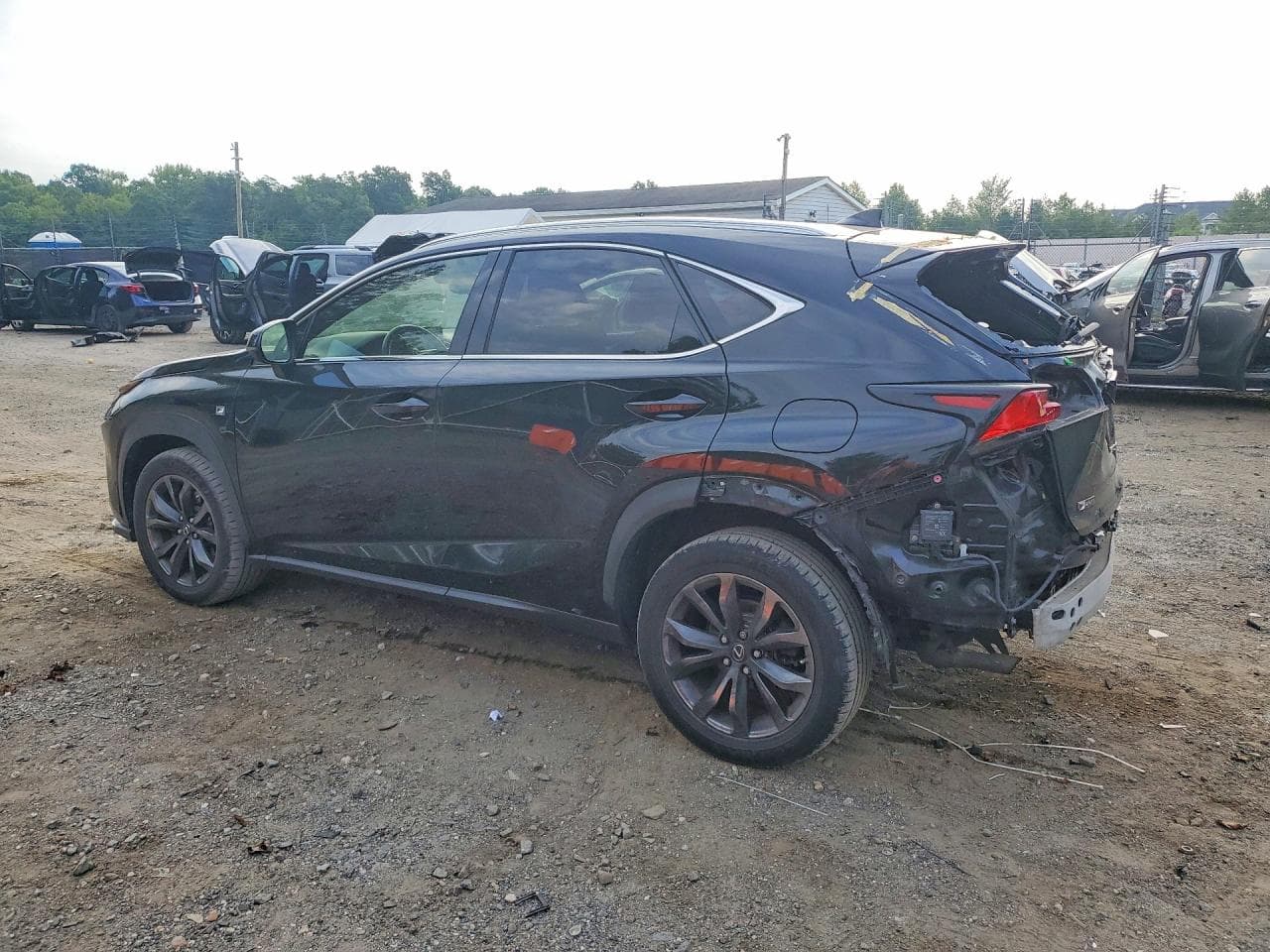 2019 Lexus Nx 300 F Sport - foto 2