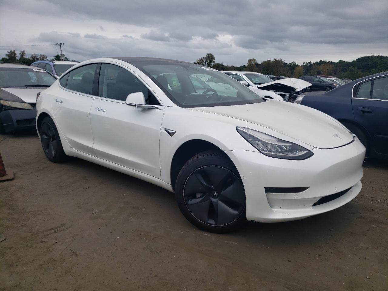 2020 Tesla Model 3 - foto 4