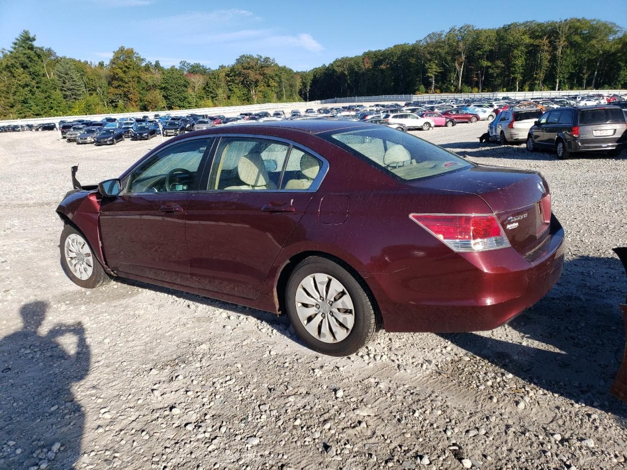 2010 Honda Accord Lx - foto 2