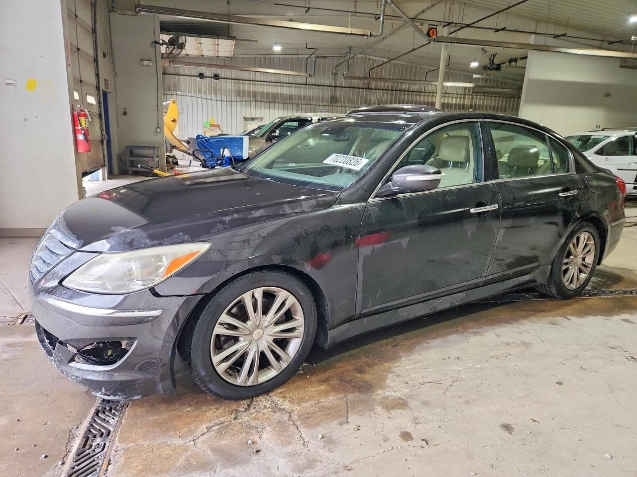 Hyundai Genesis 2014 z USA