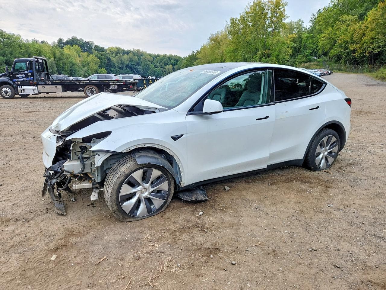 Tesla Model Y 2024 z USA