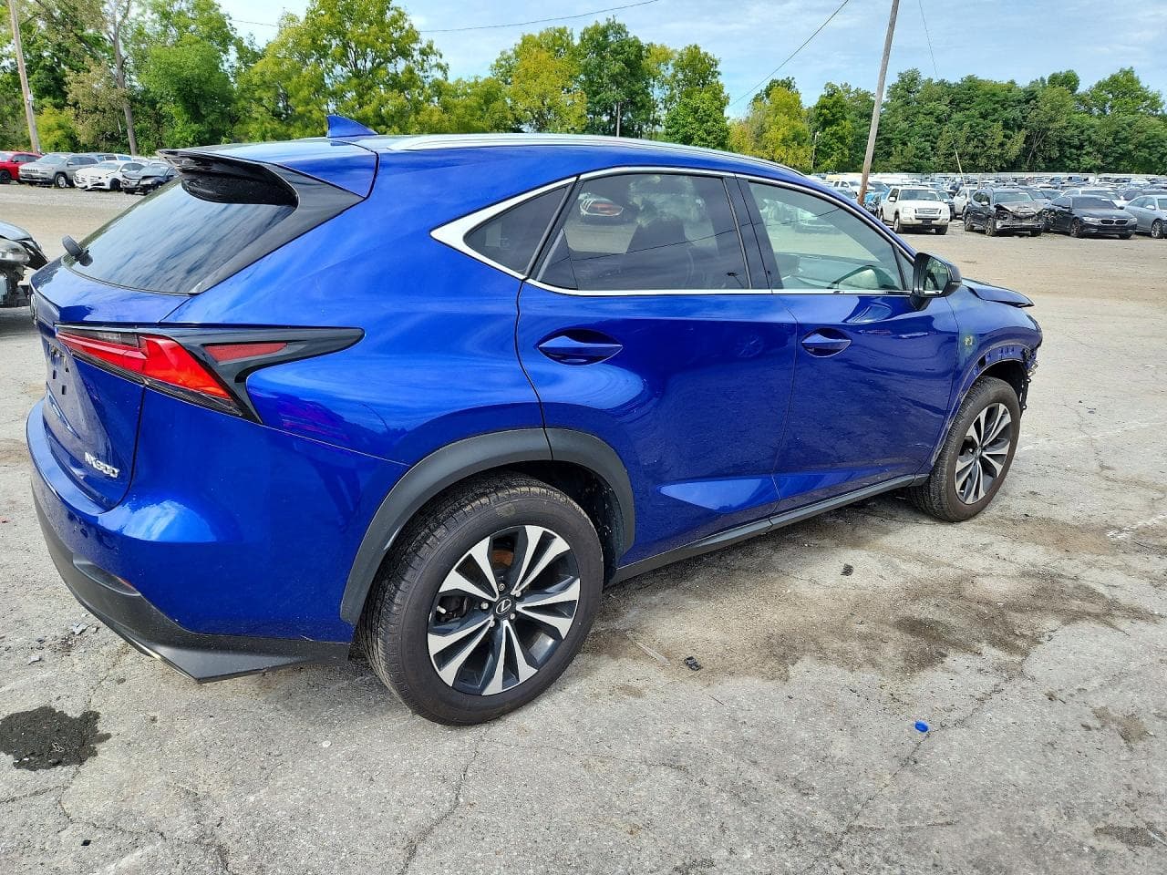 2021 Lexus Nx 300 F Sport - foto 3