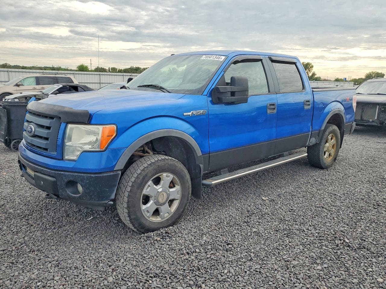 Ford F-150 2010 z USA