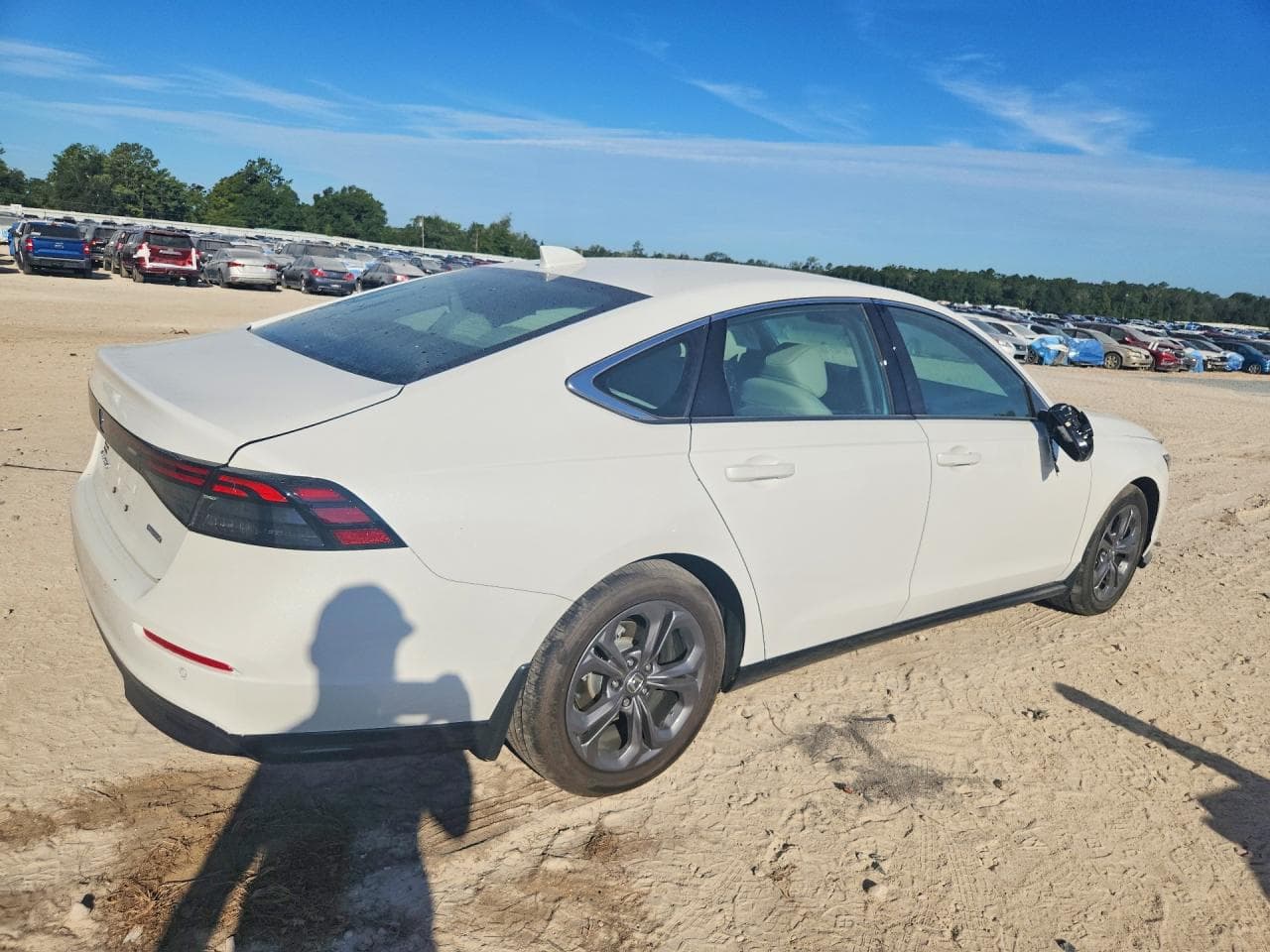 2026 Honda Accord Hybrid Exl - foto 3