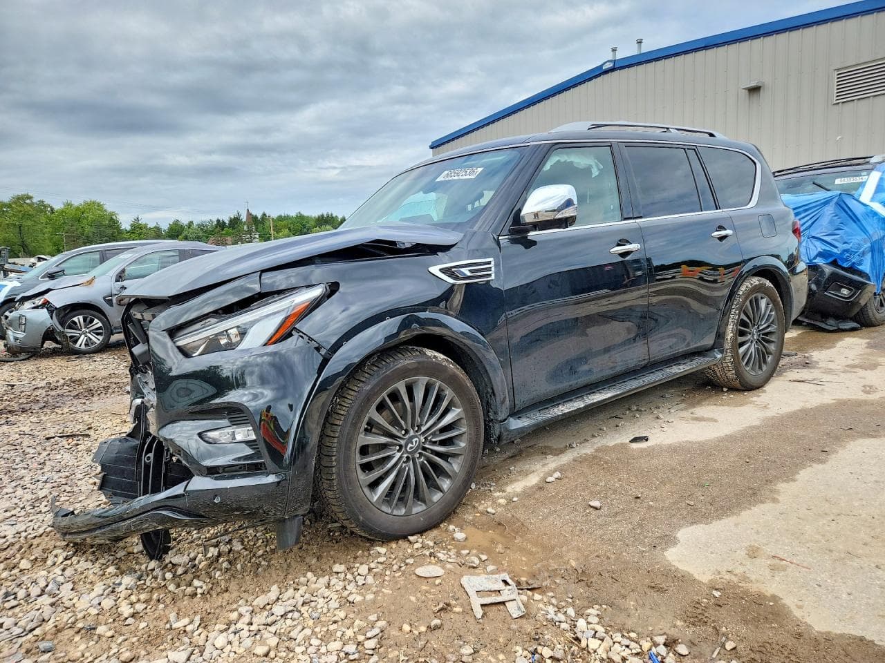 Infiniti QX80 2024 z USA