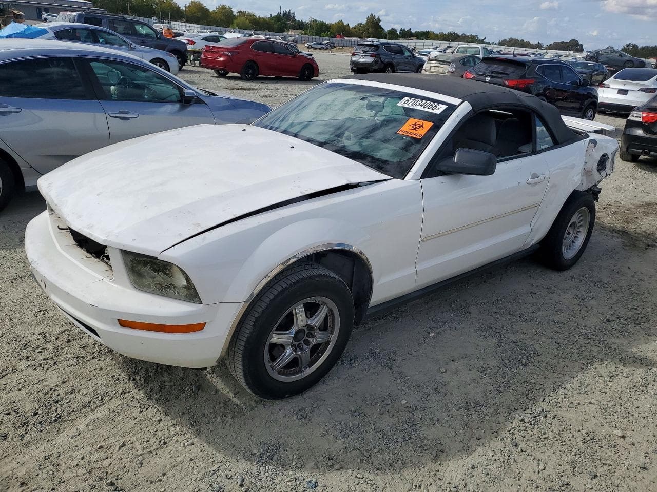 Ford Mustang 2008 z USA