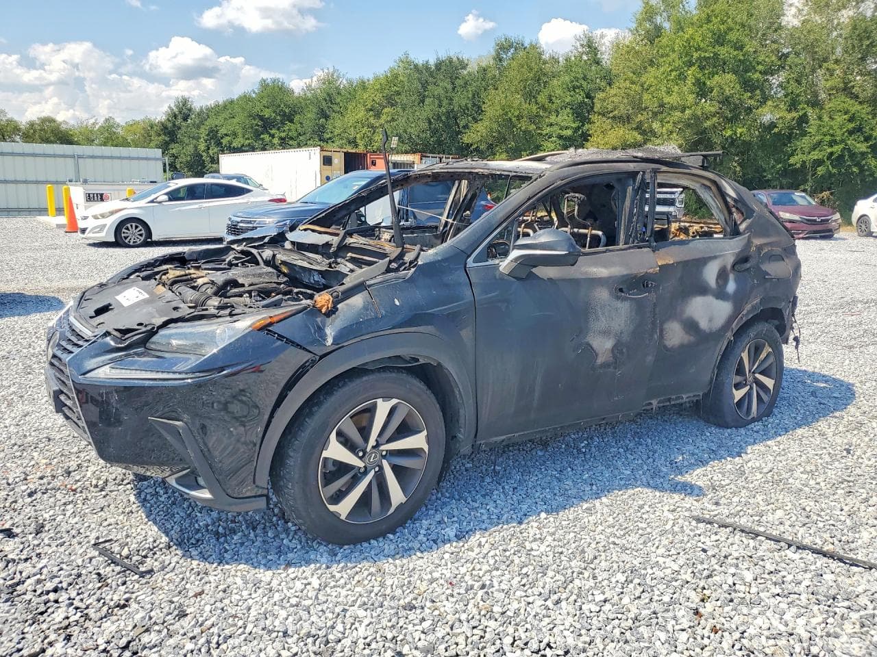 Lexus NX 2018 z USA
