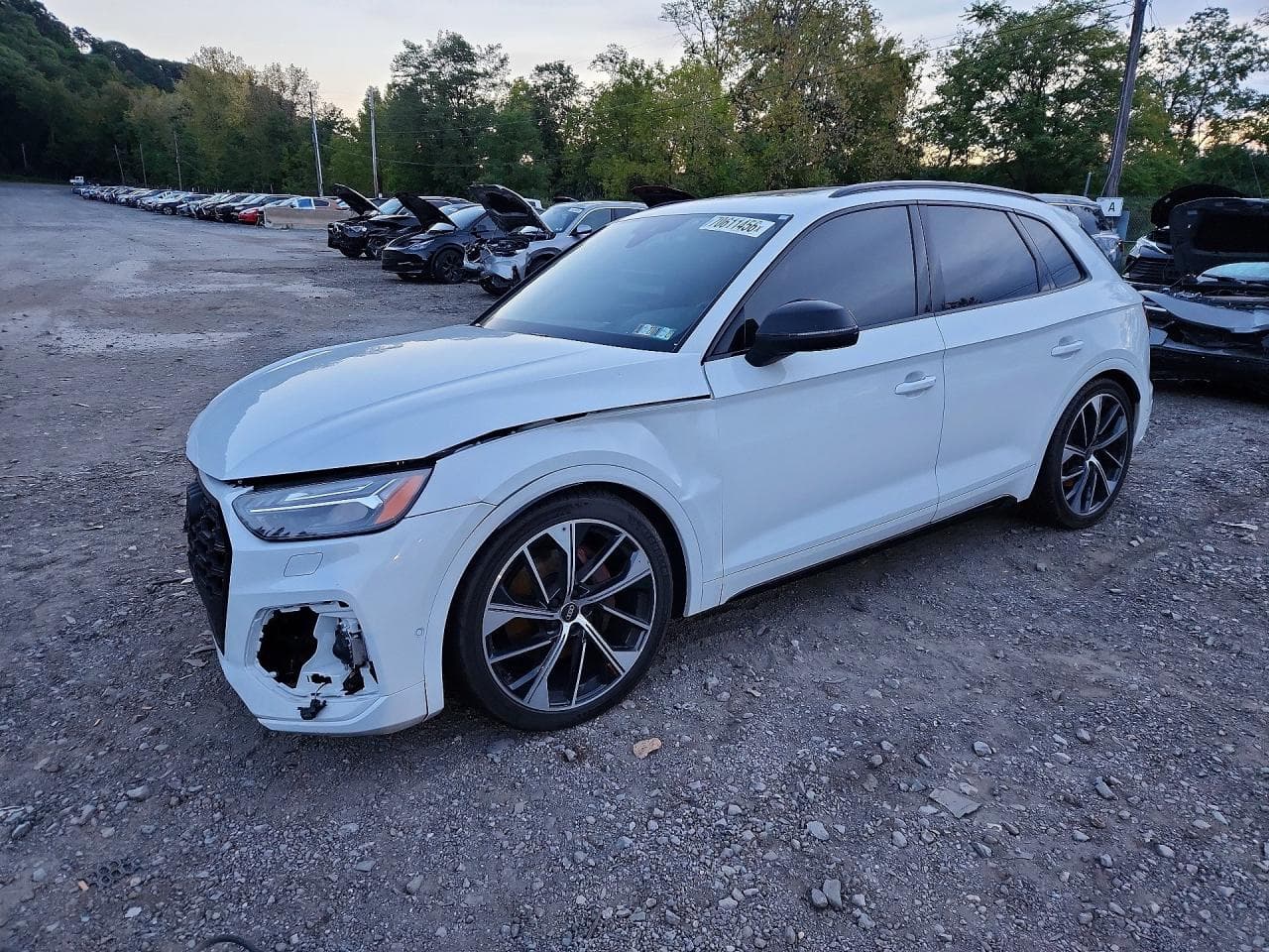 Audi SQ5 2024 z USA