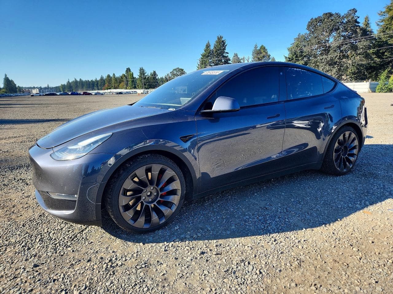 Tesla Model Y 2020 z USA
