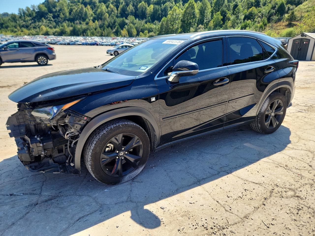 2019 Lexus Nx 300 F Sport