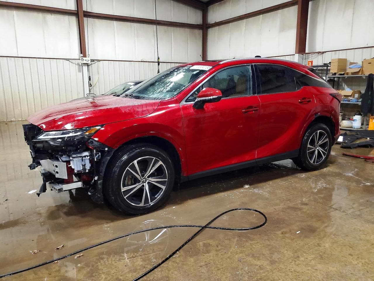 Lexus RX 2024 z USA