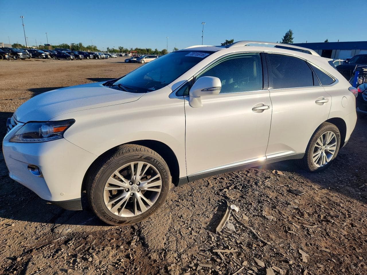 Lexus RX 2014 z USA