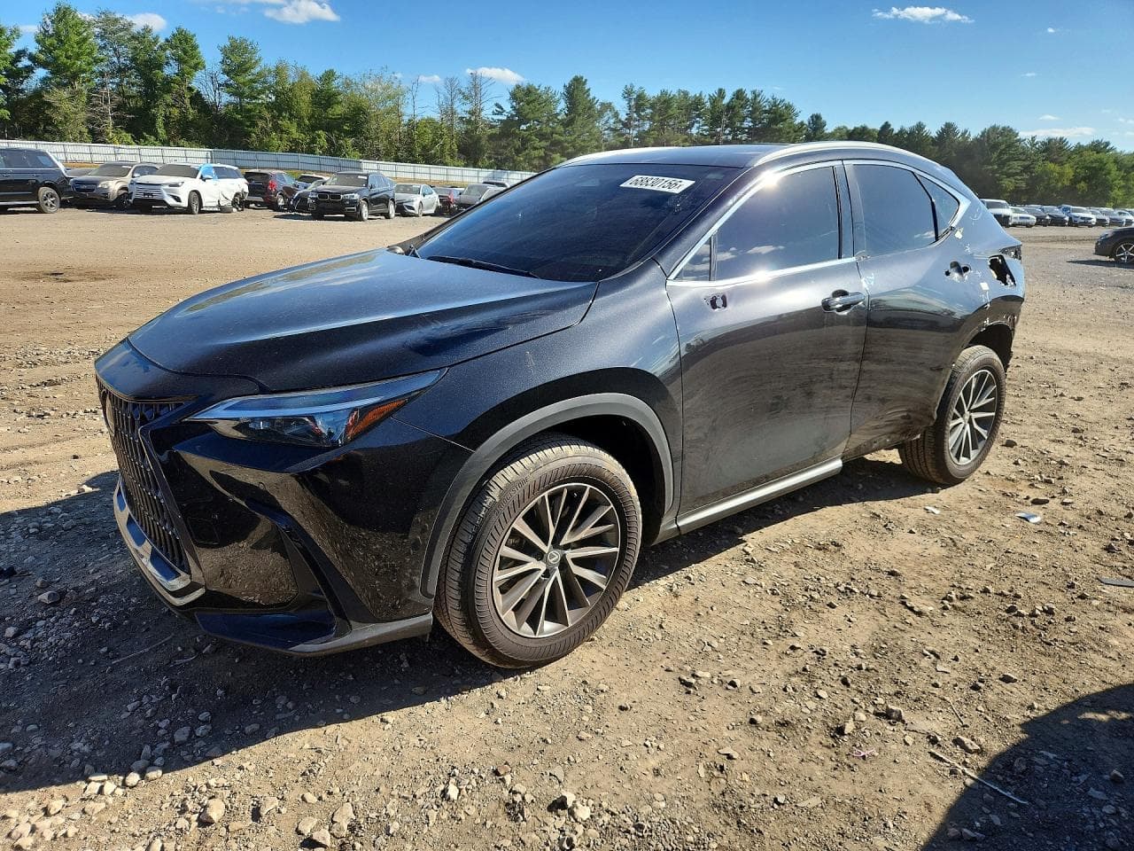 Lexus NX 2026 z USA