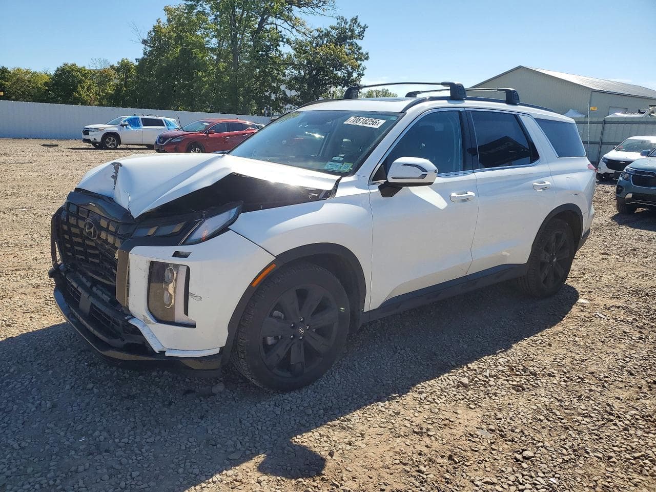 Hyundai Palisade 2024 z USA