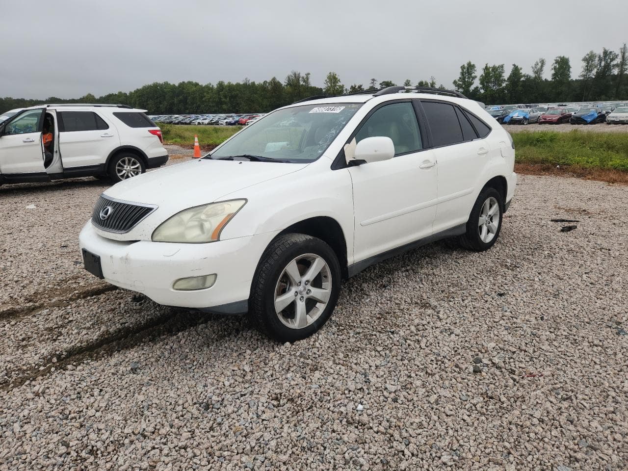 Lexus RX 2004 z USA