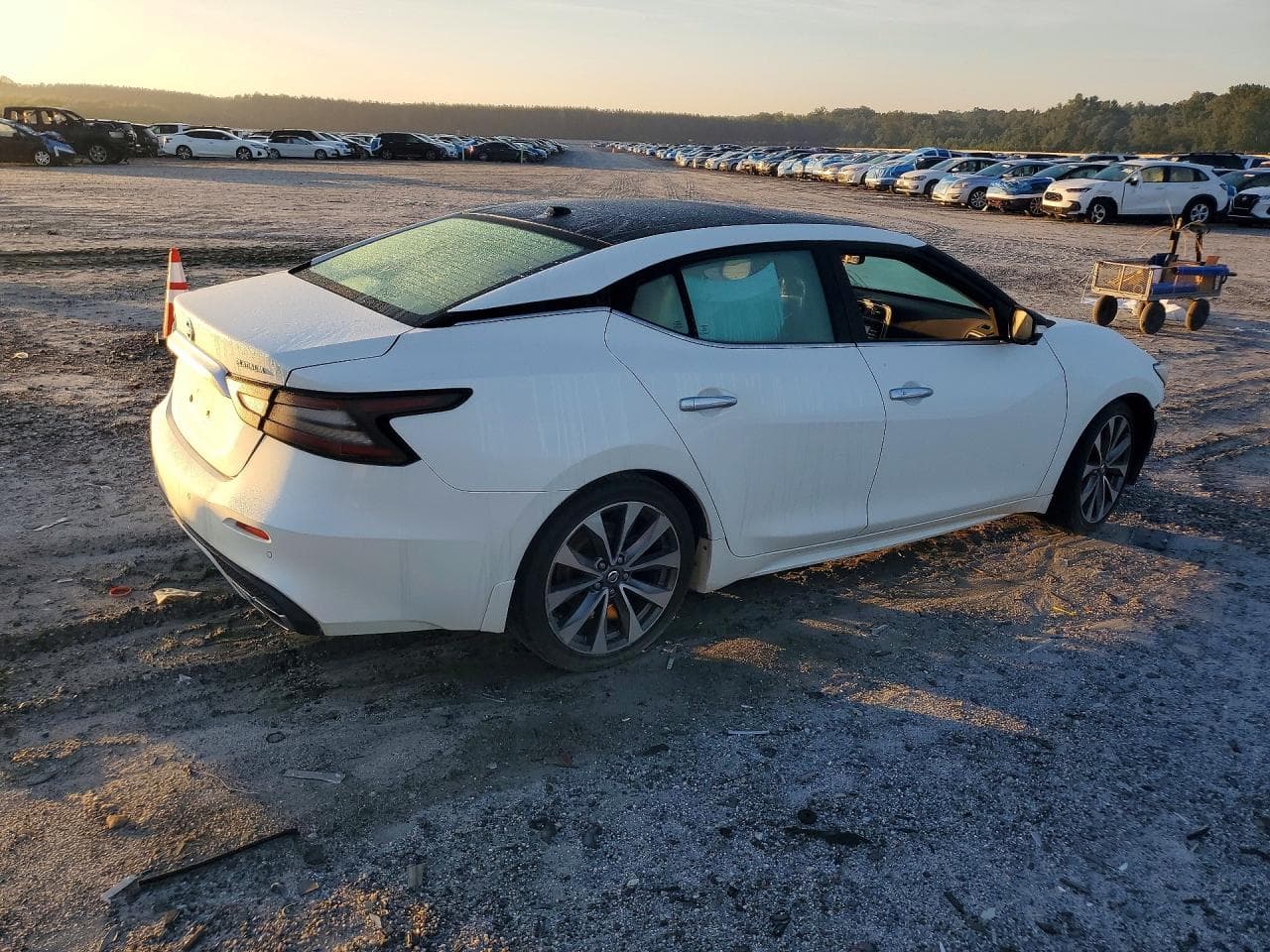 2019 Nissan Maxima Platinum - foto 3