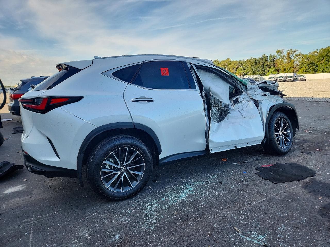 2024 Lexus Nx 250 Premium - foto 3