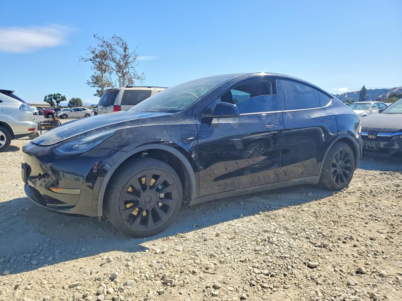 Tesla Model Y 2020 z USA