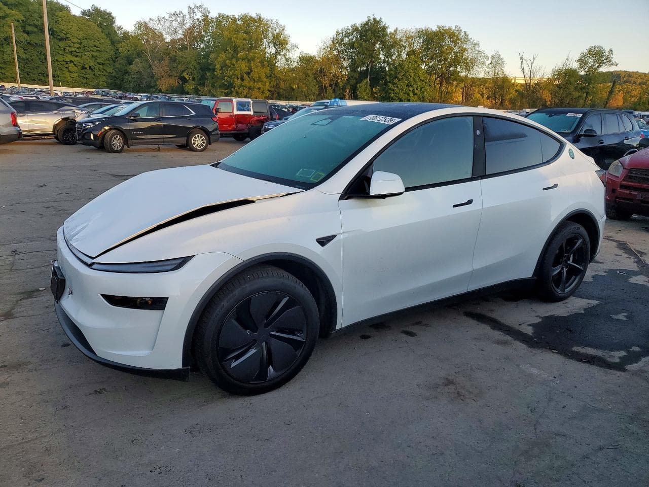 Tesla Model Y 2026 z USA
