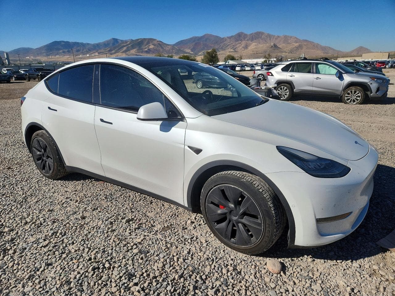2021 Tesla Model Y - foto 4