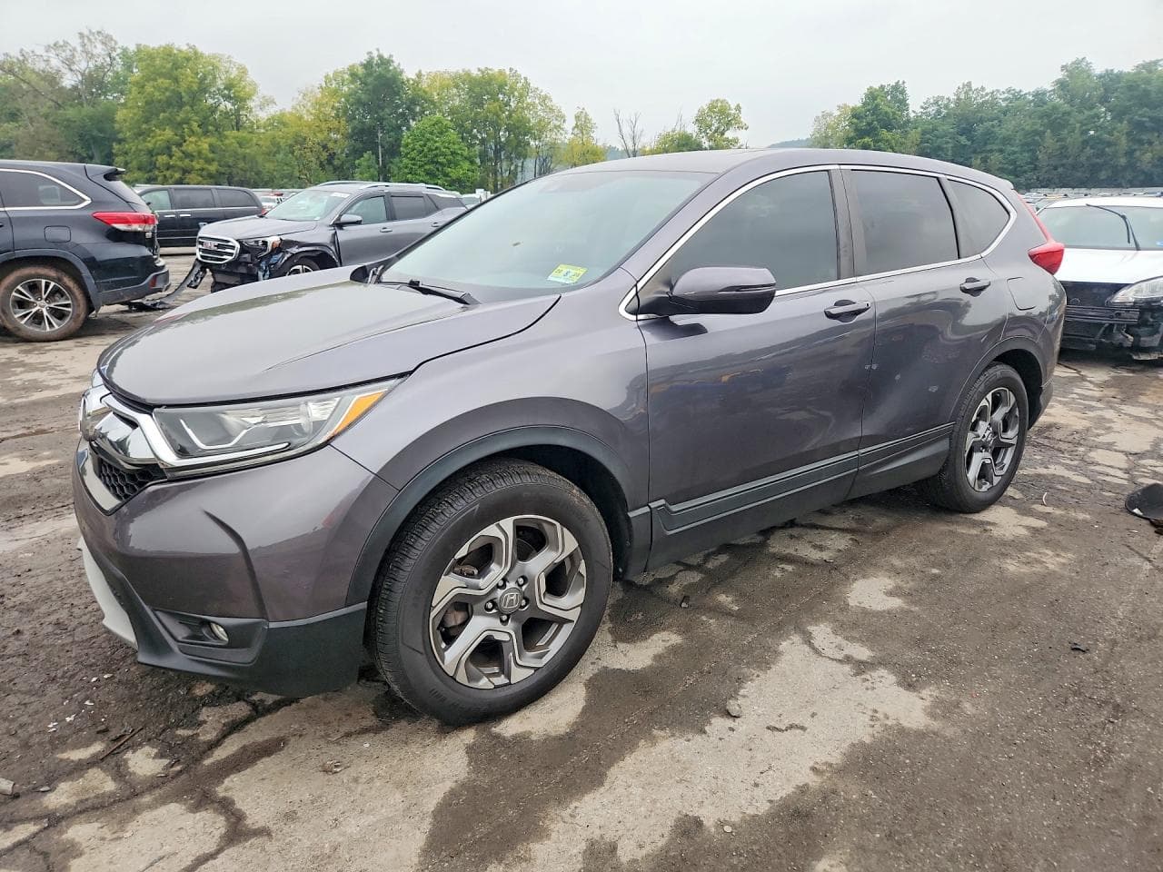 Honda CR-V 2019 z USA