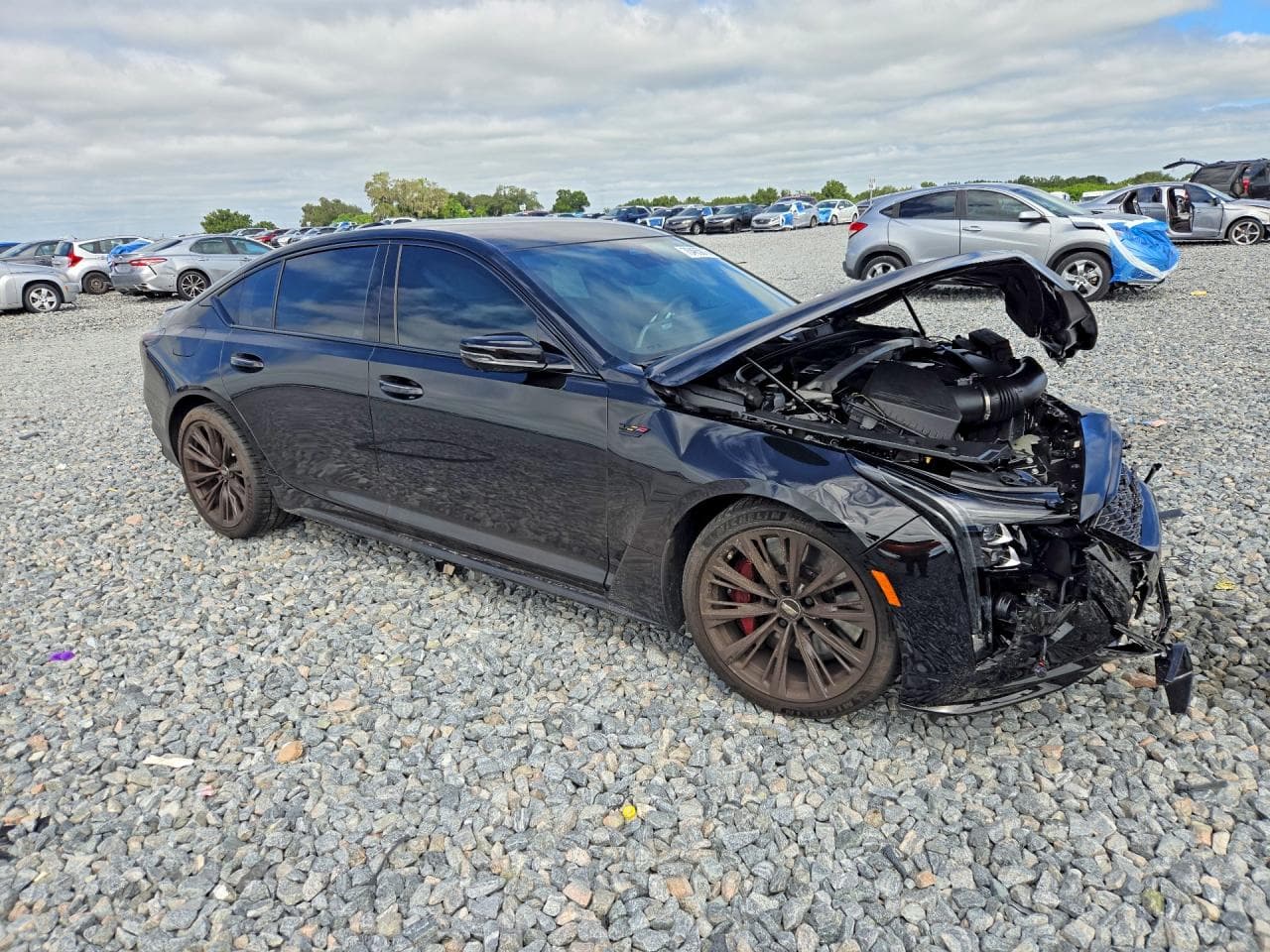 2026 Cadillac Ct5-V Blackwing - foto 4