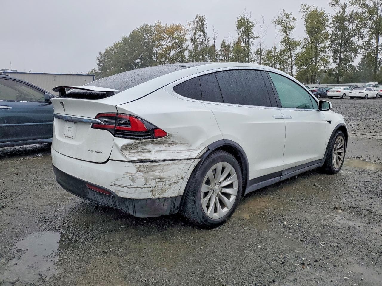 2019 Tesla Model X - foto 3