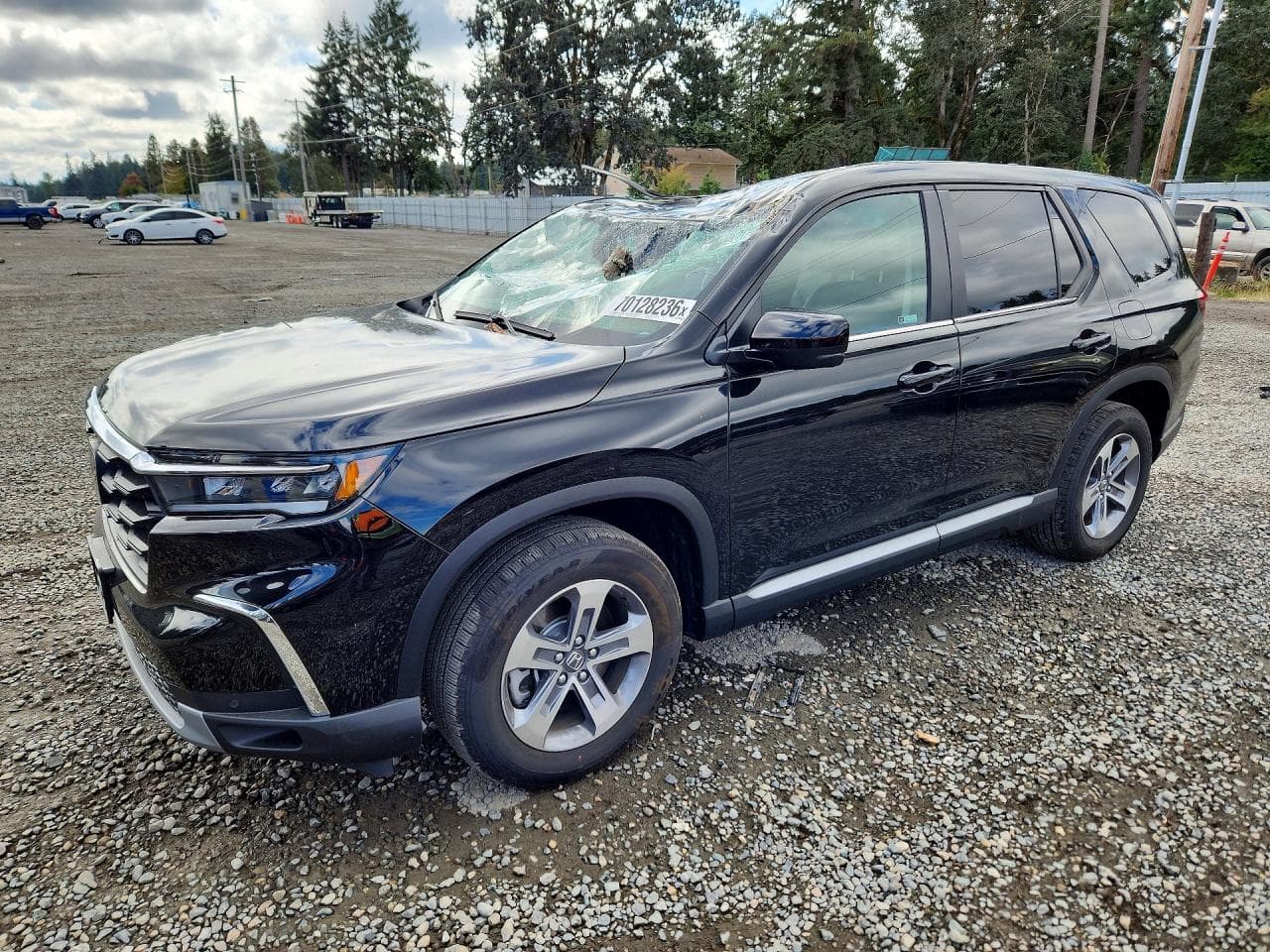 Honda Pilot 2025 z USA