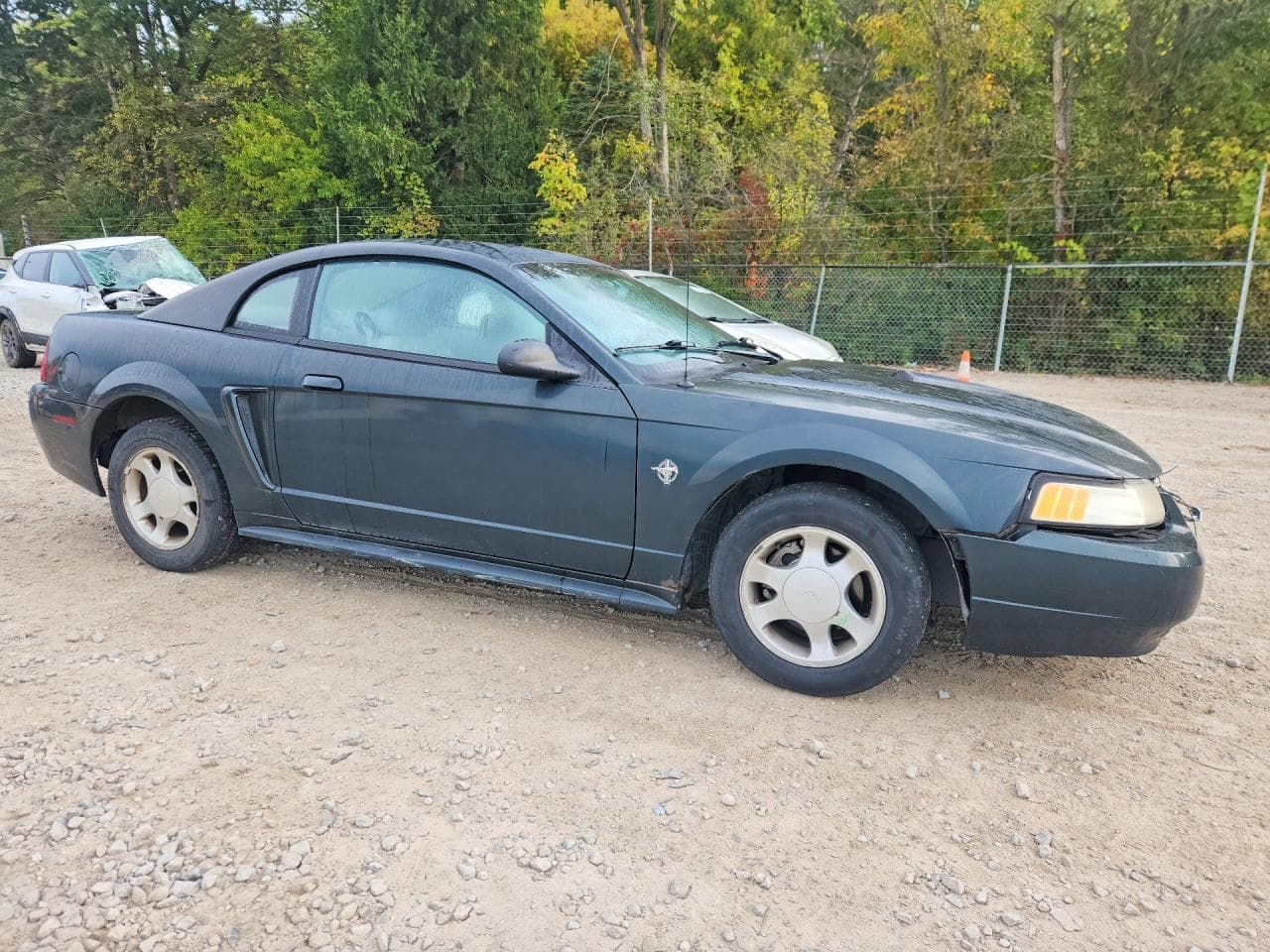1999 Ford Mustang - foto 4