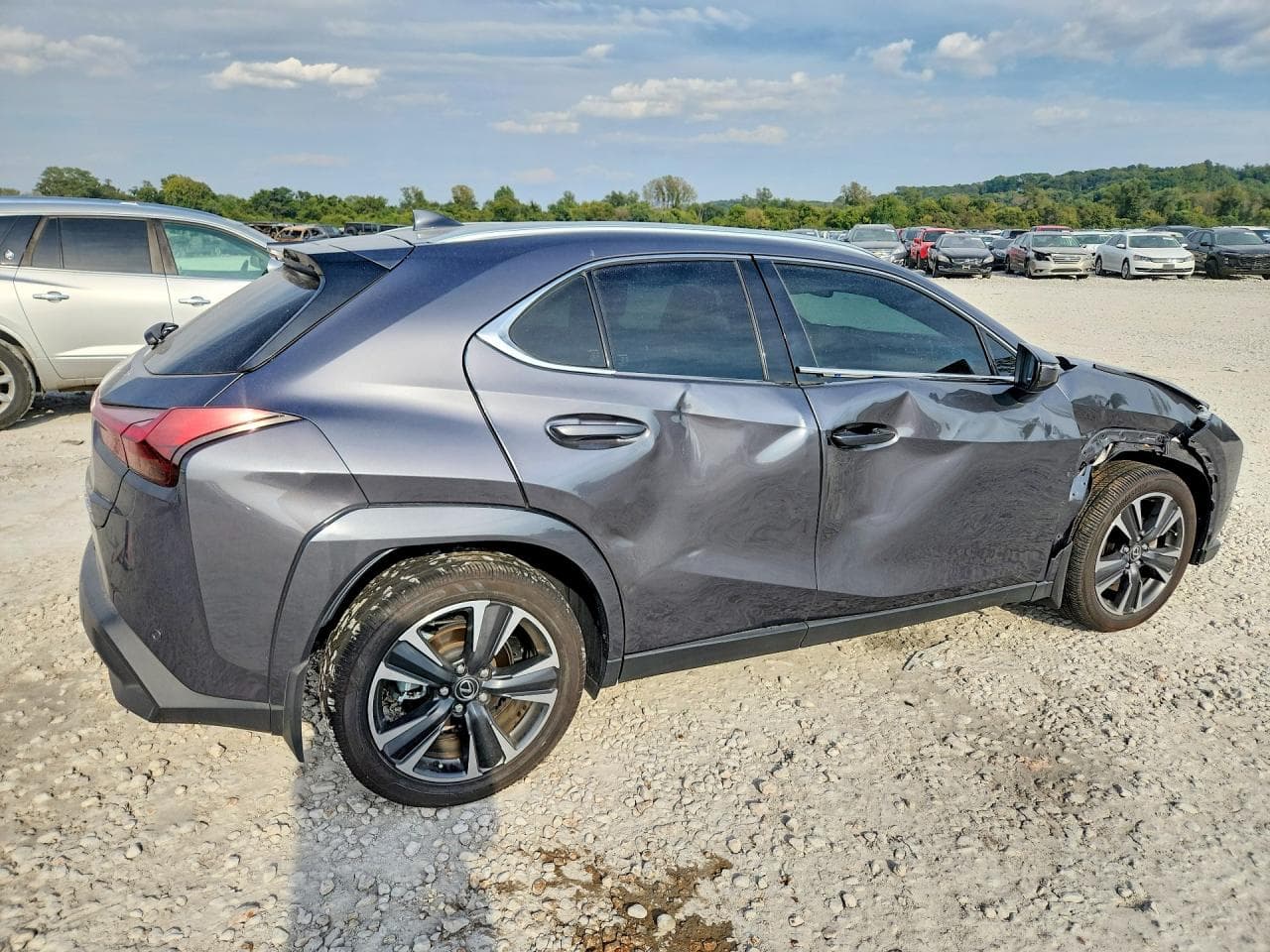 2025 Lexus Ux 300H Premium - foto 3