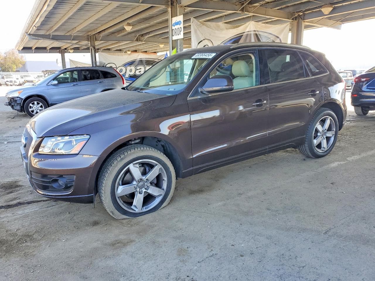 Audi Q5 2011 z USA