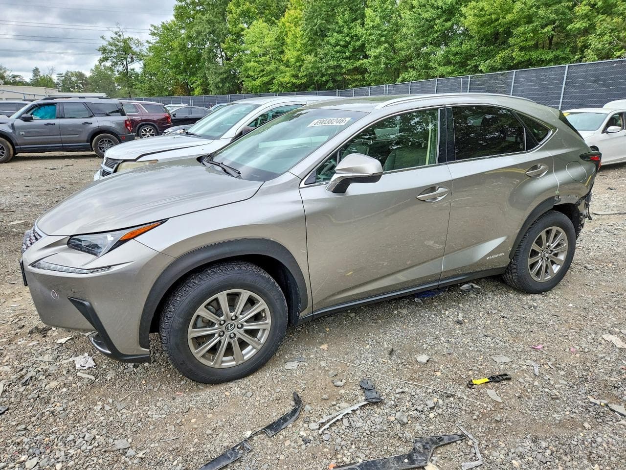 Lexus NX 2018 z USA