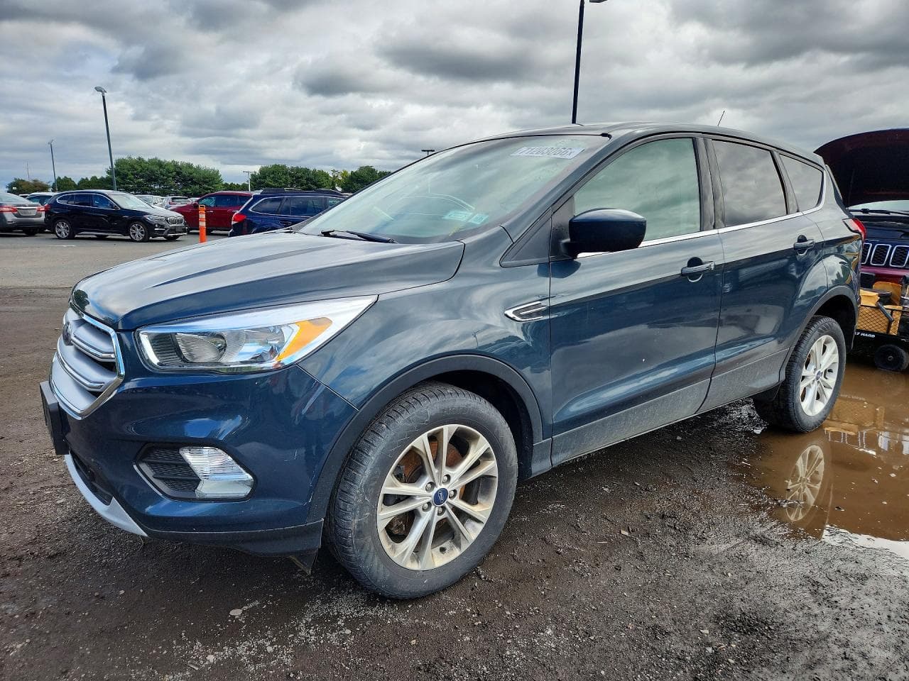2019 Ford Escape Se