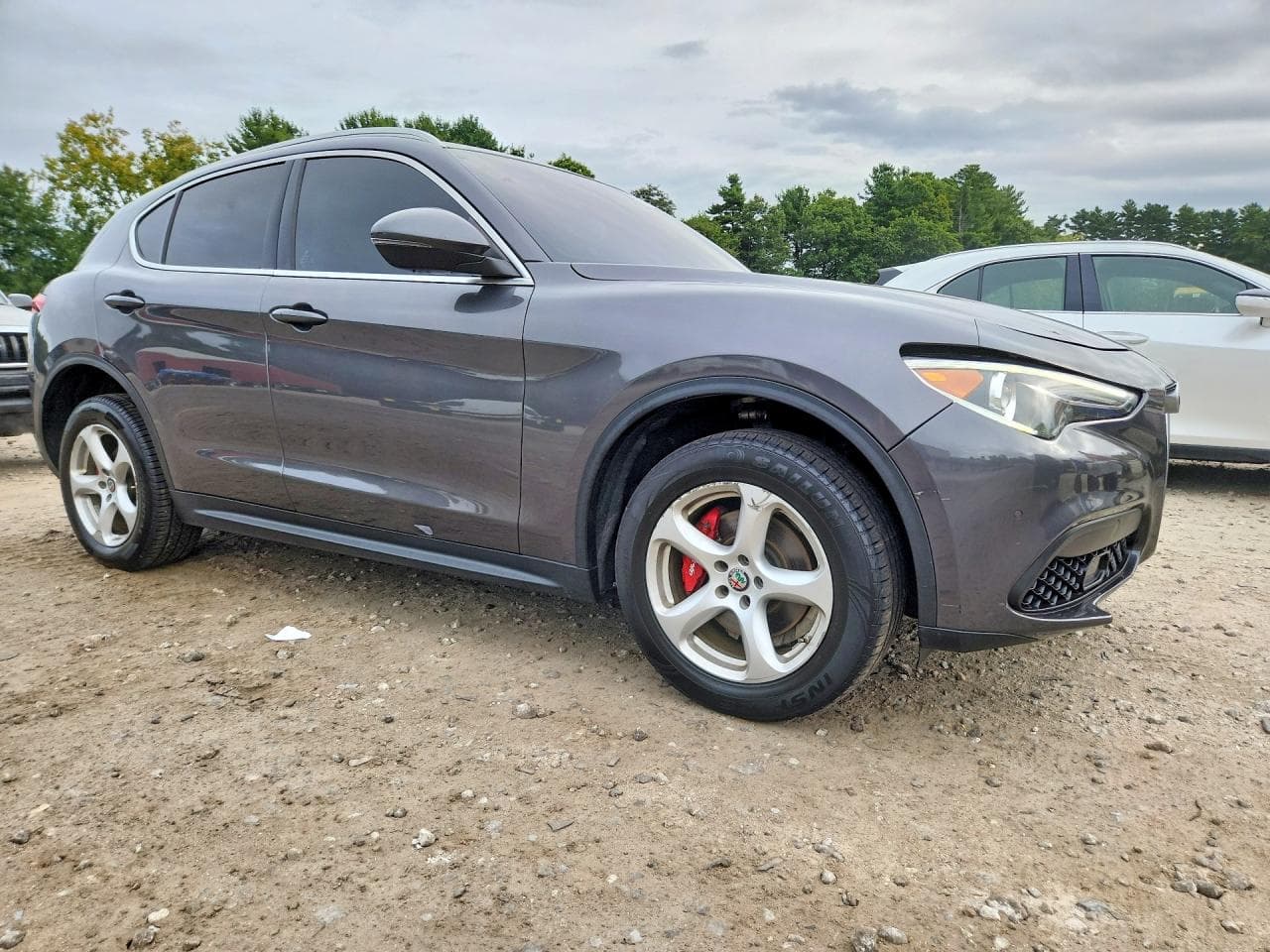 2019 Alfa Romeo Stelvio - foto 4