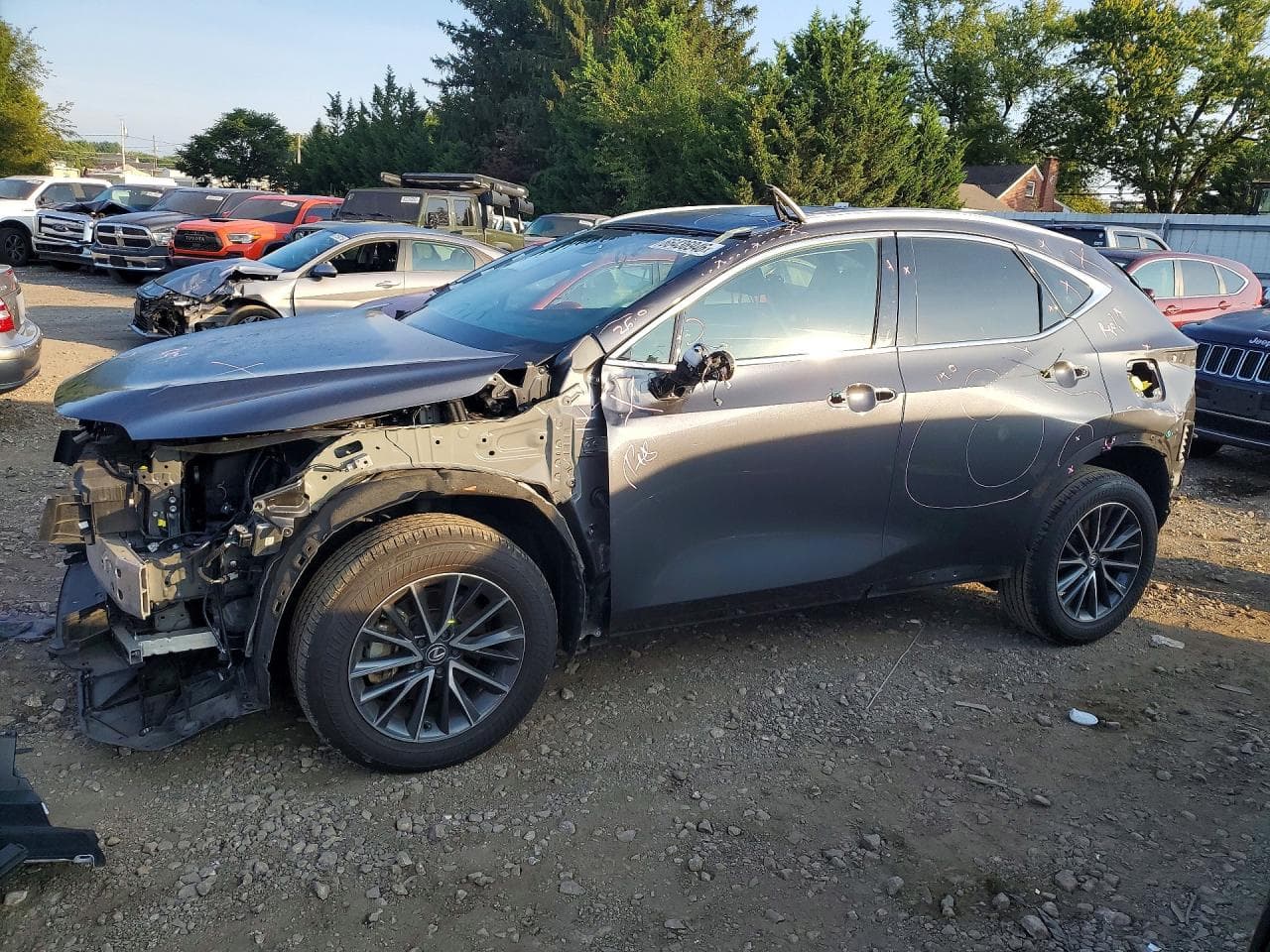 Lexus NX 2024 z USA